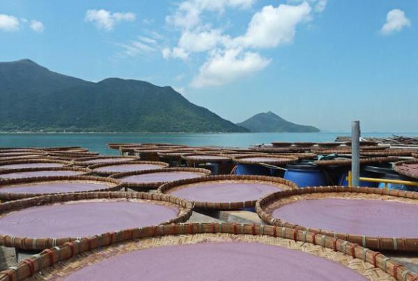 捕捉大澳 攝影展