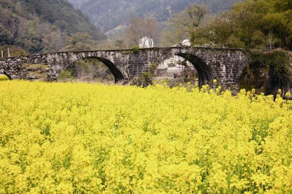 簡單‧快捷‧方便 恒生銀行旅遊保險