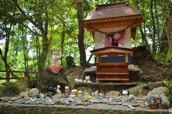 在貓咪神社受人祀奉的貓神 日本11 人氣貓島(上)