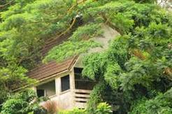 亞洲十大猛鬼地點（上） 