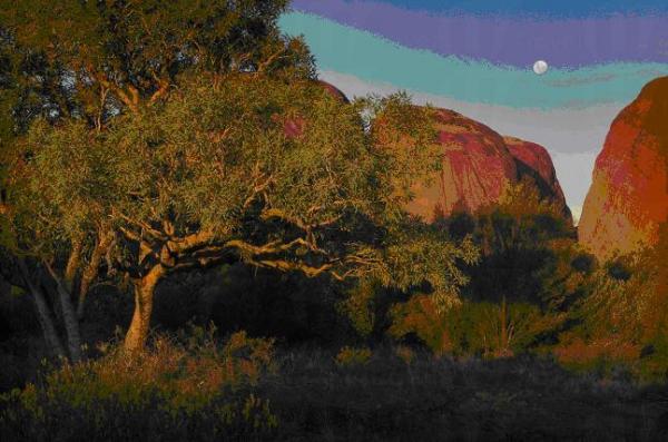 「愛地球」攝影展 捕捉香港美景