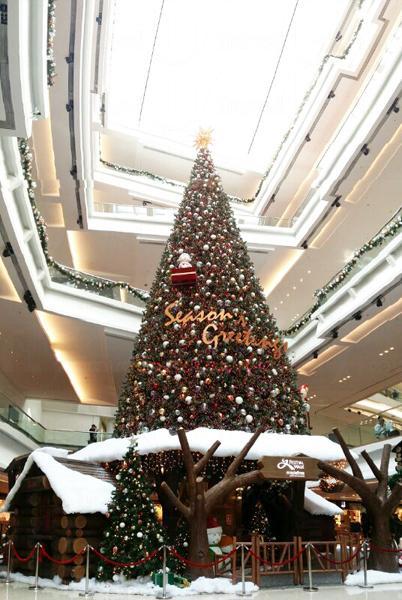 70呎華麗聖誕樹 艶壓全城