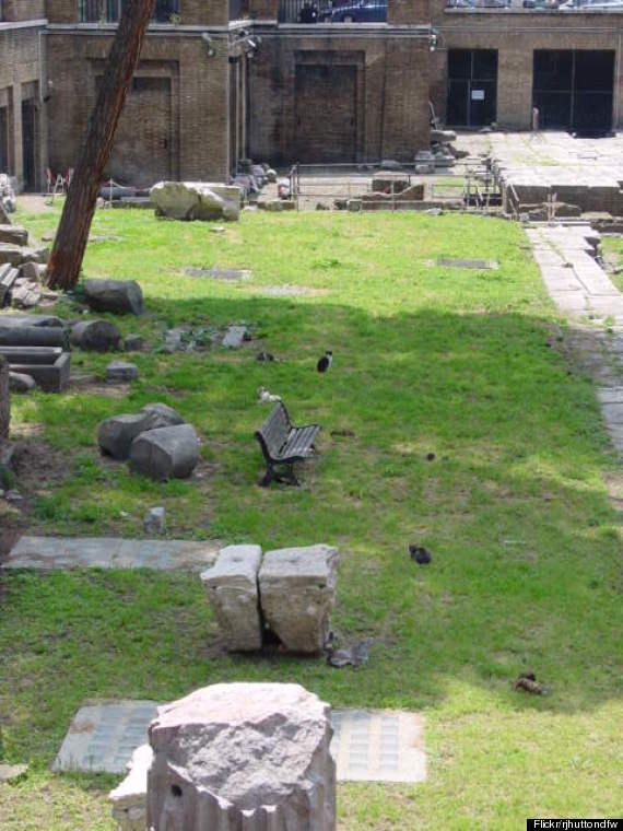 全球 9 個 貓痴必去地方