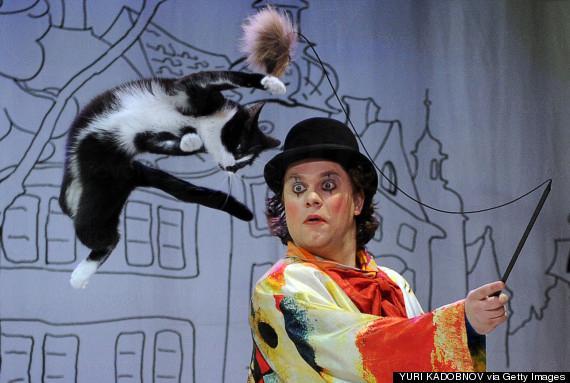 全球 9 個 貓痴必去地方