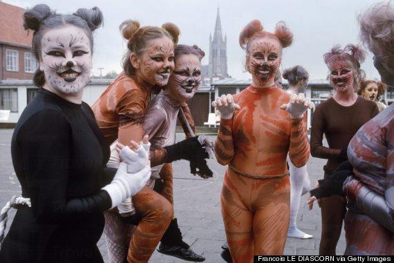 全球 9 個 貓痴必去地方