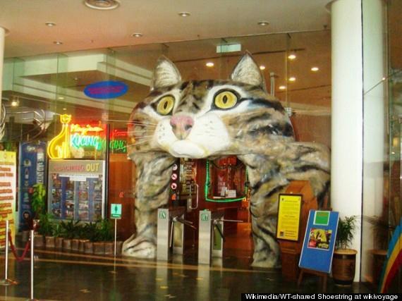 全球 9 個 貓痴必去地方