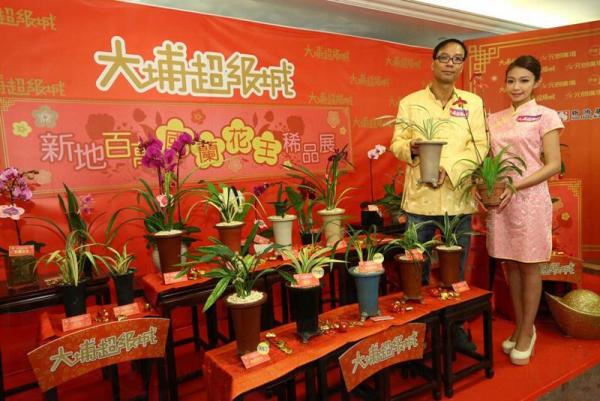 大埔超級城 躍馬喜型桃花園