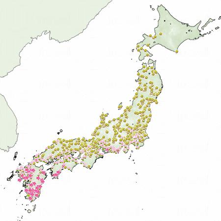 3月尾,關東及關西等地開花,九州滿開。 2014全日本櫻花預測 第二回發放
