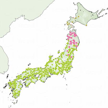 5月頭,北陸地區滿開。 2014全日本櫻花預測 第二回發放