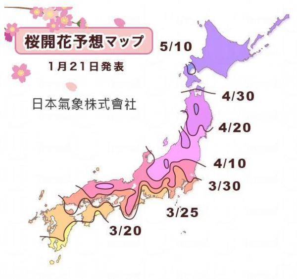 日本氣象廳2014年櫻花預測第二回經已更新,大部份開花日子都較第一回推遲了1至2天。 2014全日本櫻花預測 第二回發放