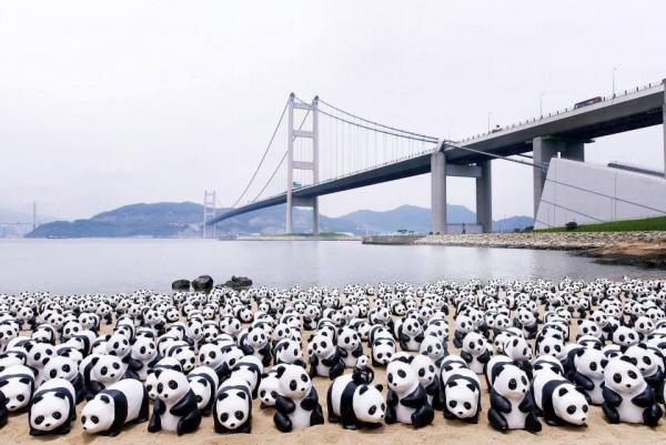 1600熊貓快閃馬灣，欣賞青馬大橋。