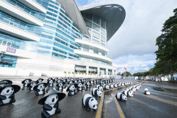 熊貓仔香港遊─會展。