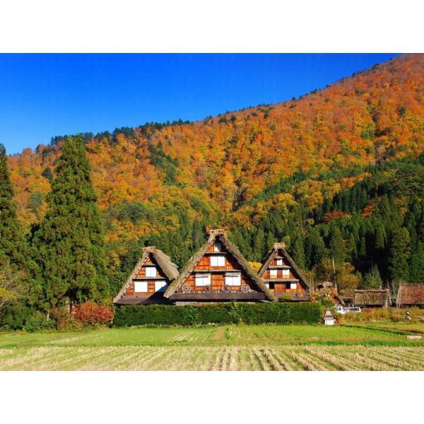 秋季的白川鄉美得猶如童話小鎮。