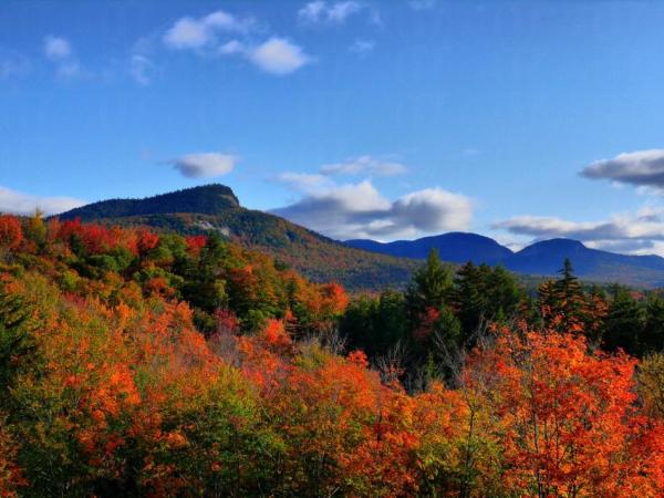 新州白山山脈會展多姿多采的秋色。