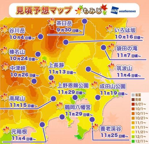 關東區東京11月15日起有紅葉睇。