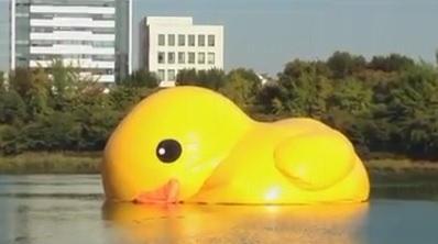 再爆! 黃色巨鴨遊韓首日漏氣