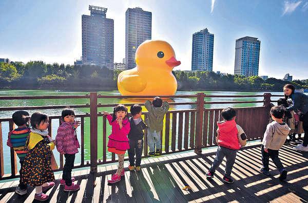 黃色橡皮鴨游到南韓江南石村湖。