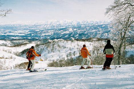 5. 野澤溫泉滑雪場︰溫泉滑雪 5. 八甲田滑雪場 四季滑雪