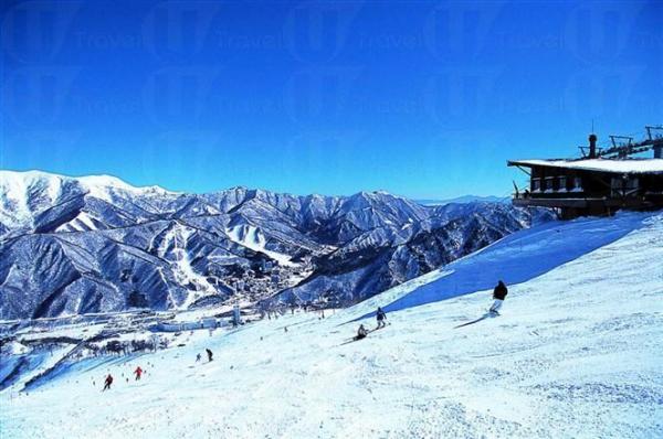 7. 苗場滑雪場︰設施完善 7. 石打丸山滑雪場 名牌老字號