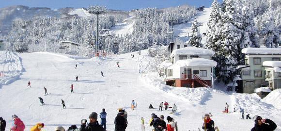 8. 石打丸山滑雪場︰名牌老字號 8.Fujiten滑雪場︰富士山下