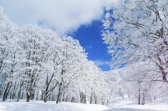 3.Fujiten滑雪場︰富士山下 3. 野澤溫泉滑雪場 溫泉滑雪
