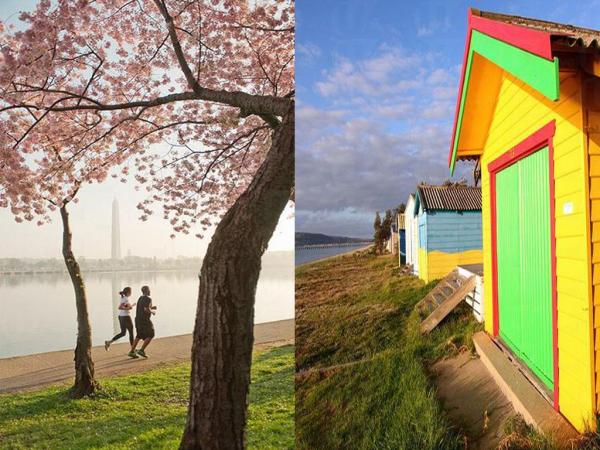 美國 華盛頓國家廣場 National Mall(左)和澳洲 莫寧頓半島 Mornington Peninsula(右) 美國 華盛頓國家廣場 National Mall(左)和澳洲 莫寧頓半島 Mornington Peninsula(右)