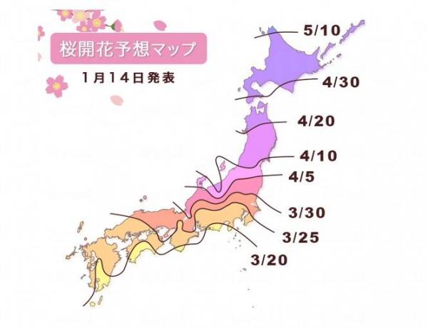2015年最新日本櫻花預測出爐喇！