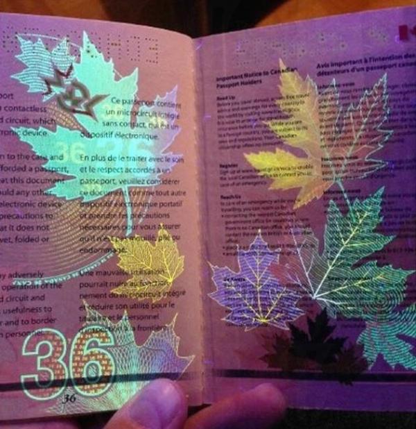 加拿大、中國護照暗藏秘密 一照現真身