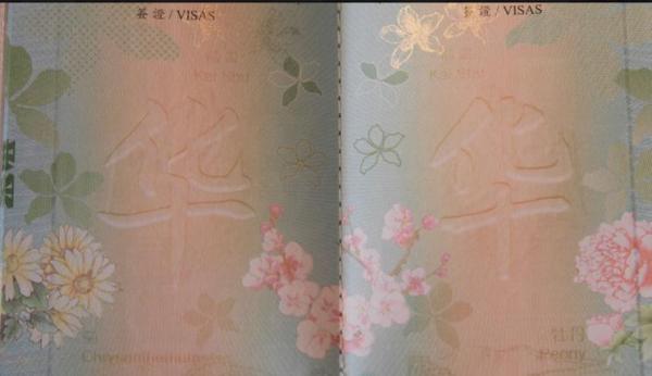 唔駛「葡萄」！ 特區護照都識放煙花