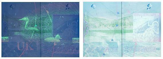 唔駛「葡萄」！ 特區護照都識放煙花