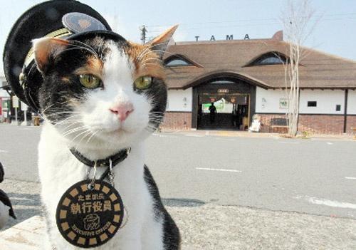 可愛？古怪？ 日本 10 個造型獨特的車站