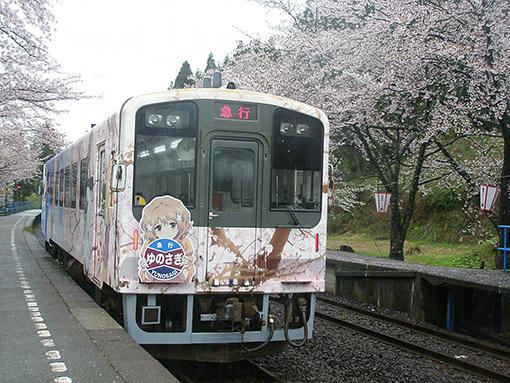 日本6大賞櫻列車 蒸氣火車載你穿越櫻花隧道