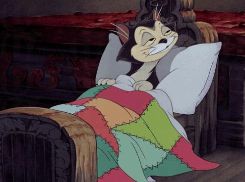 米妮養的貓咪？其後變得了木偶奇遇記的角色費加洛。