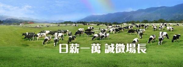 台東初鹿牧場聘見習場長,5天賺港幣大約 data-filename=