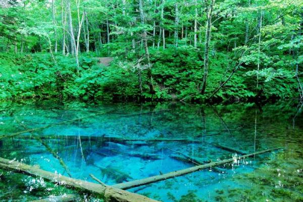 北海道　神之子池