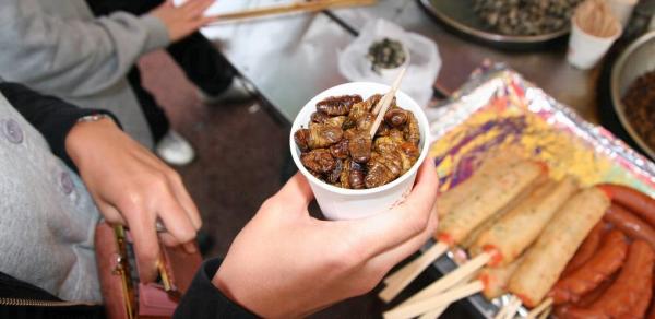 2. 蠶蛹 (圖：thehungrysuitcase)