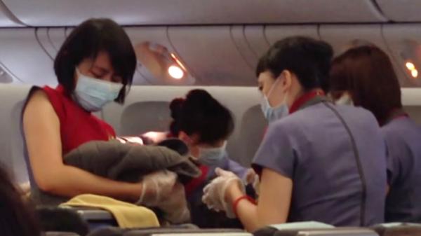 華航機艙BB出世短片曝光 空姐大叫「我要哭了」