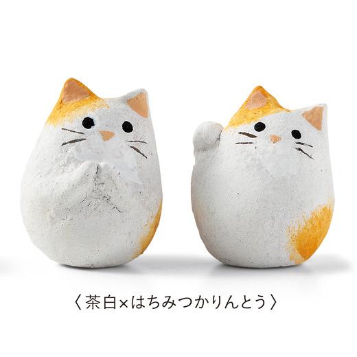 日本鬼馬手信 一口咬出6款貓咪頭的「躲貓貓幸運脆餅」