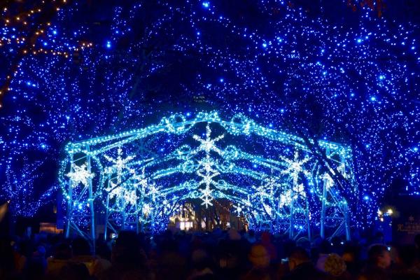 日本聖誕浪漫放閃 嚴選東京、大阪5大睇燈飾熱點