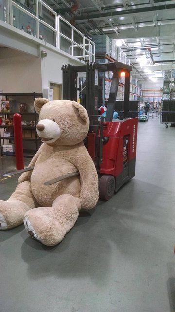 巨熊出沒注意！超市熱賣2米啤啤熊 好想空運回港無限擁抱