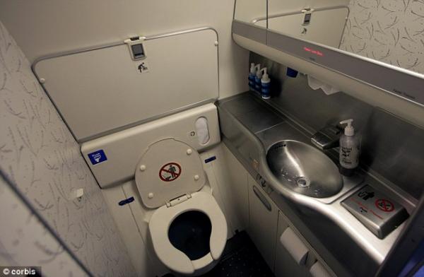 飛機上廁所一不留神「腸子都被吸出來」 長榮航空董事長：是真的