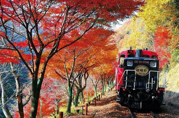 京都全新車Pass任搭地鐵、巴士 由宇治玩到嵐山好方便