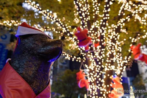 渋谷忠犬八公像 Cute爆聖誕老人爬樹燈飾