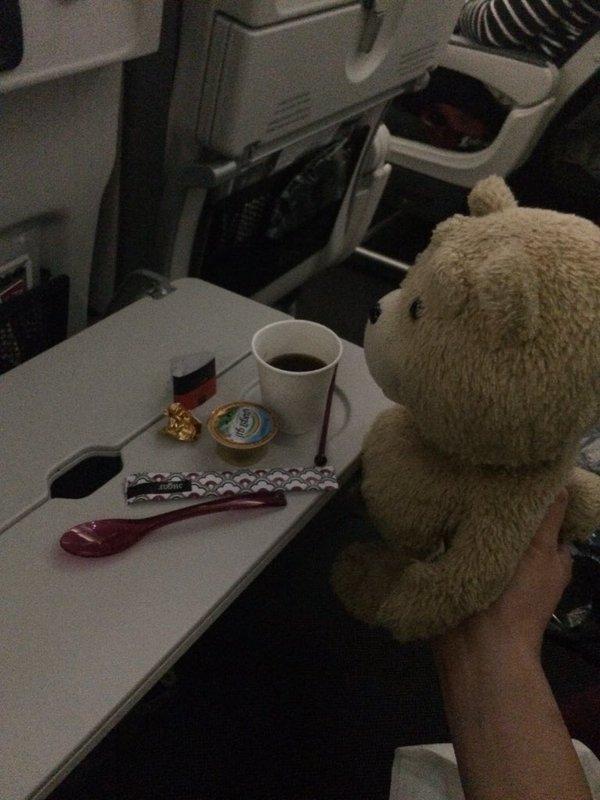 乘客帶賤熊Ted坐飛機 遇上好玩空姐，Ted竟然有這樣的待遇