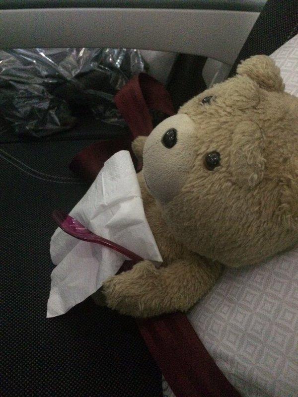 乘客帶賤熊Ted坐飛機 遇上好玩空姐，Ted竟然有這樣的待遇