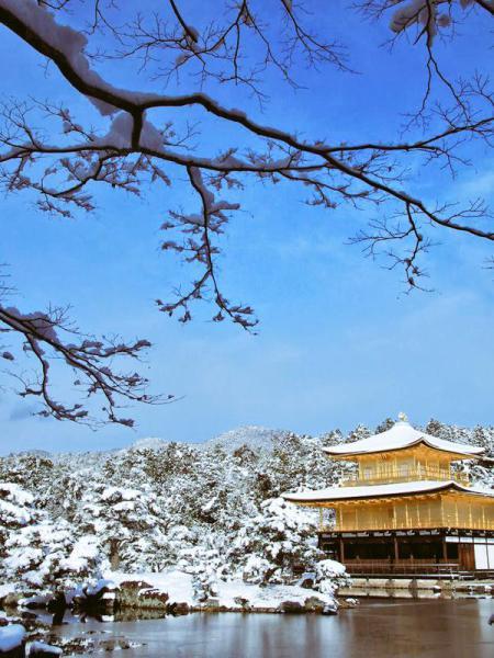 近60年最厚的積雪! 京都名勝雪後美景