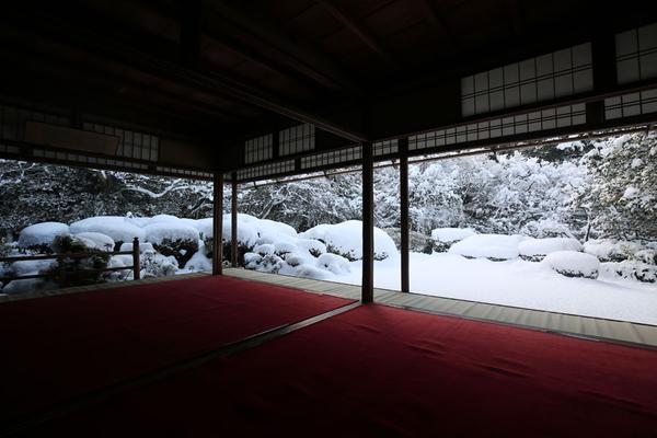 近60年最厚的積雪! 京都名勝雪後美景