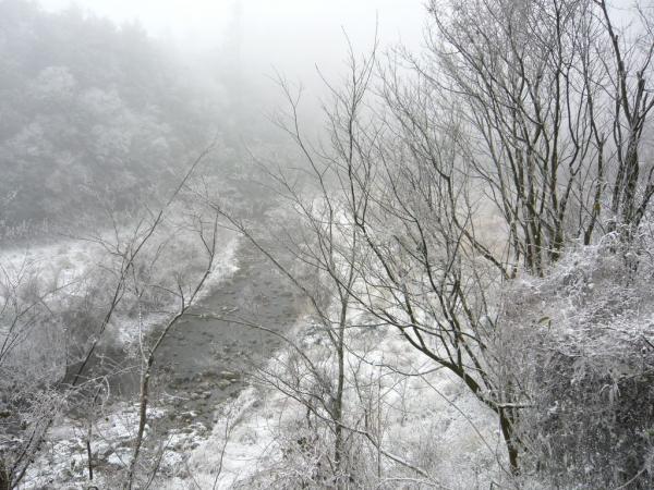 台灣清境相隔10年下雪 近在咫尺的台灣雪景