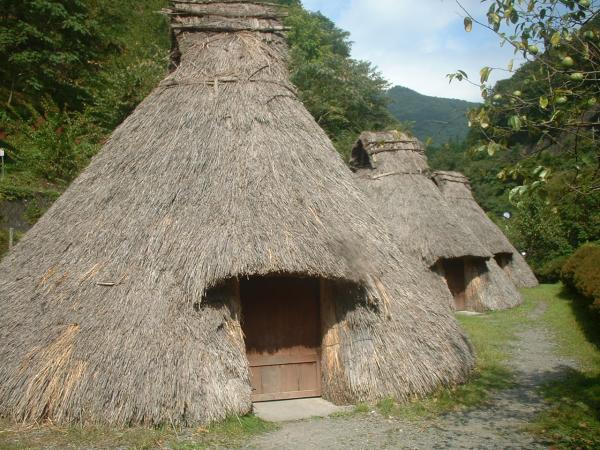 日本 酒店 住宿 特色 旅館 民宿