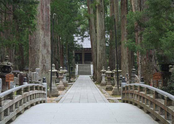 日本人都一定去過！ 最受外國遊客歡迎的20個日本景點